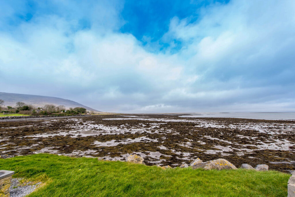 Ebbeansicht mit grüner Wiese und braunen Algen an der Atlantikküste in Irland