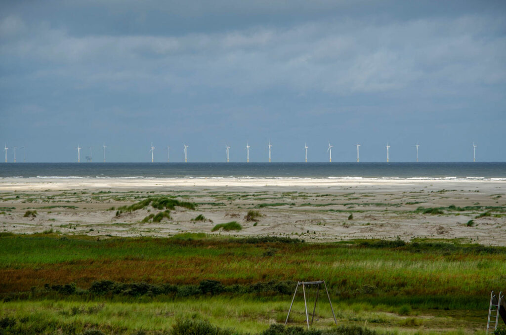 Nordstrand von Borkum mit Heidefläche im Vordergrund und eine Reihe Windräder in der Nordsee parallel fotografiert