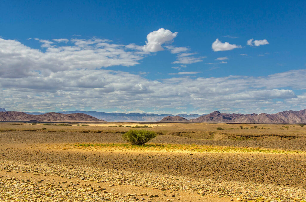 Namibia farbenfroh mit einem Baum in der Mitte vor einem Bergpanorama