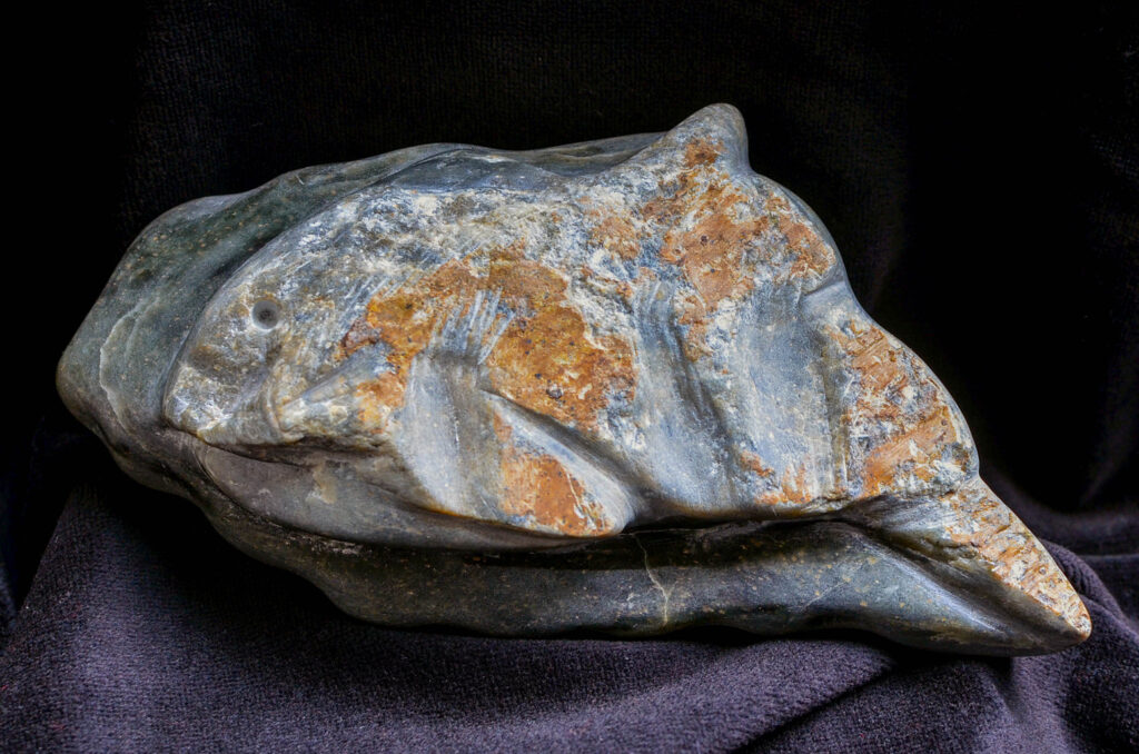 Speckstein grau mit rostigen Einschlüssen Fischfossil ausgearbeitet