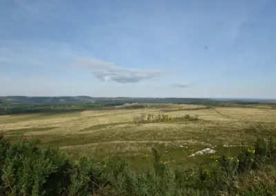 hügelige Moor- und Heidelandschaft, die Teil des Regionalen Naturparks Armorique ist