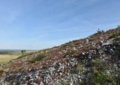 Heidehang mit Gestein auf dem Weg zum Mont St. Michel des Brasparts
