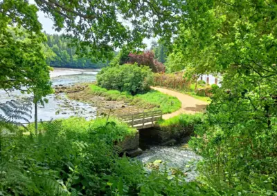 Foto zeigt eine malerische Aufnahme mit viel Grün von der Gezeitenmündung des Fluss Aber