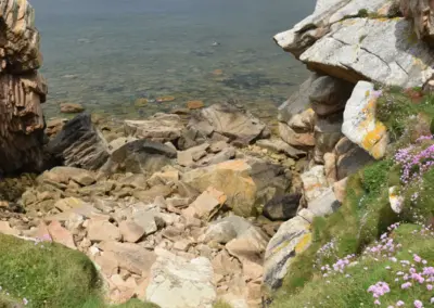 weitere Aussicht vom Küstenpfad Le Diben mit grüner Wiese im Vordergrund und Felsen