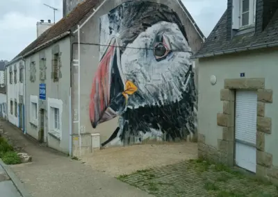 Graffiti Austernfischer-Vogelkopf in Le Diben auf Hauswand