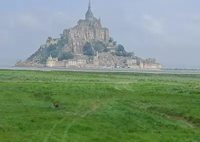 Draufsicht von den Salzwiesen aus auf Le Mont Saint Michel im leichten Dunst