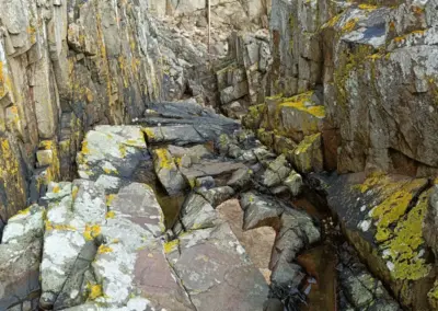 Steinküstenformation im Hafen von Légué, Bretagne