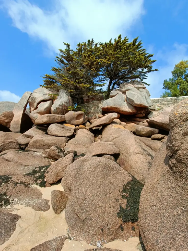 Berg aus Felsen mit oberer Mauer, wo ein große Baum zu sehen ist bei blauem Himmel